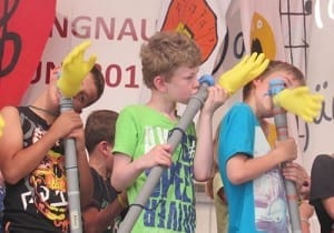 Robifon am Konzert in Lengenau 2015