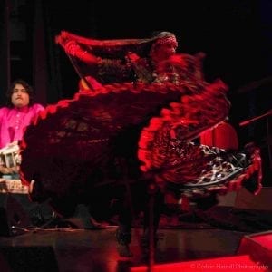 Gypsyfestival 2014 Pat_Haindl_Cedric_2014_09_26_2018_0003ok