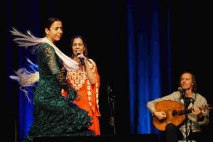 Gypsyfestival 2015 Sajeda 85