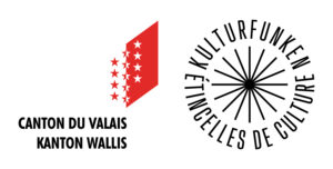 VS Logo Kulturfunken