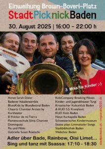 Flyer Ssassa Stadtpicknick 2025a
